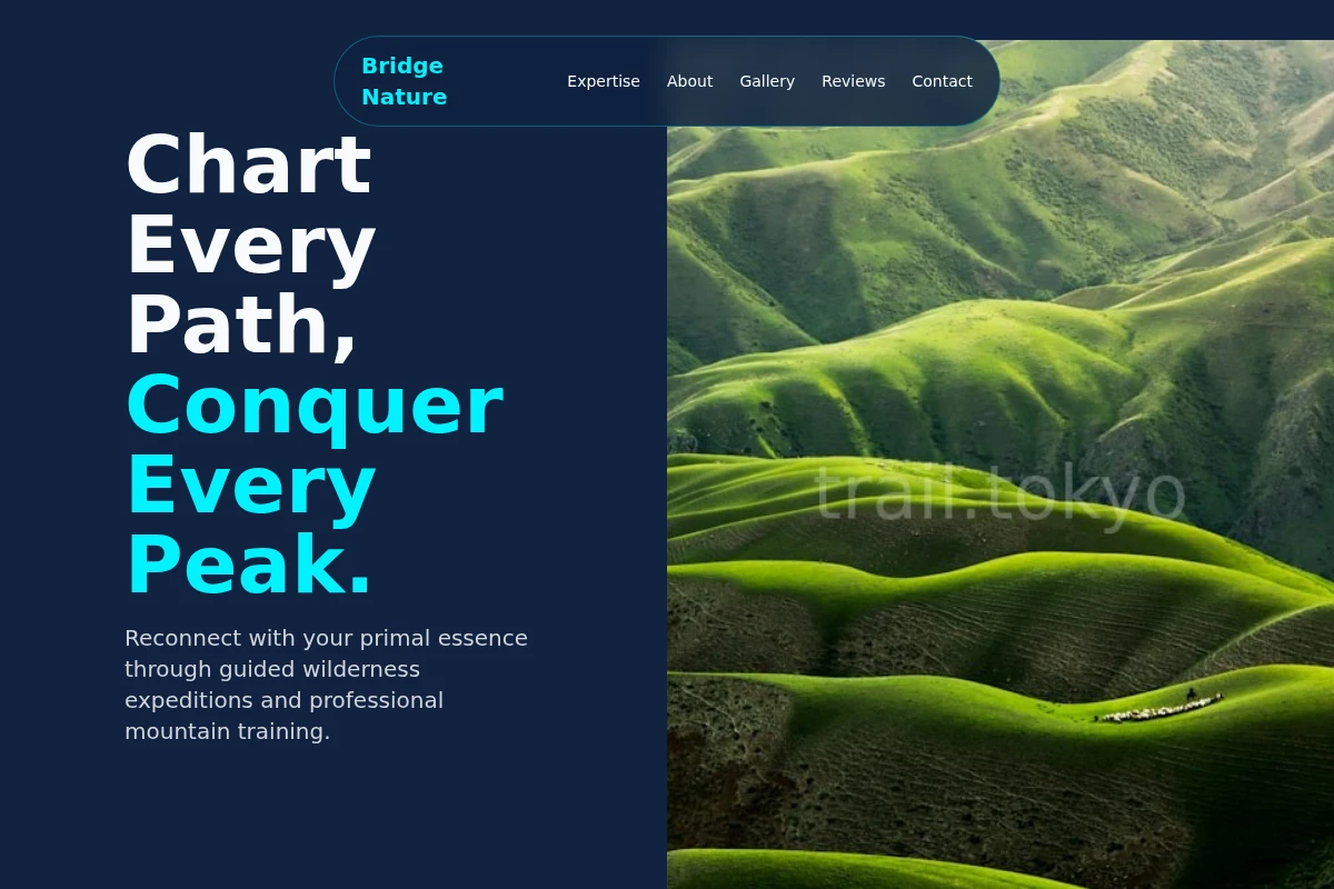 Bridge Nature