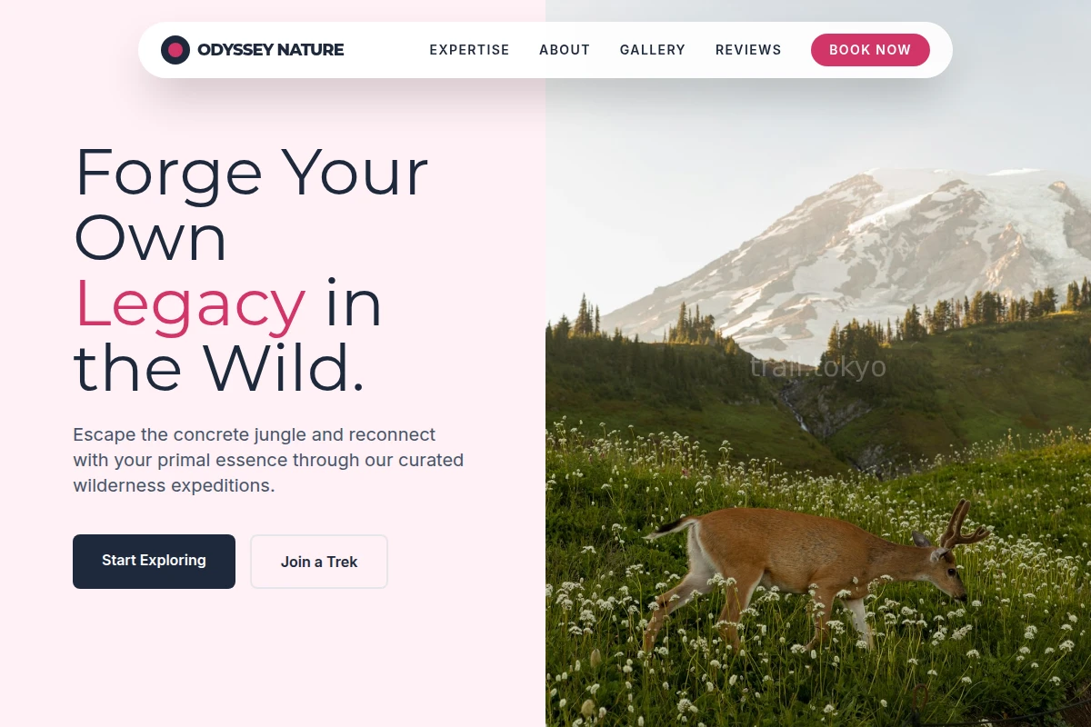 Odyssey Nature