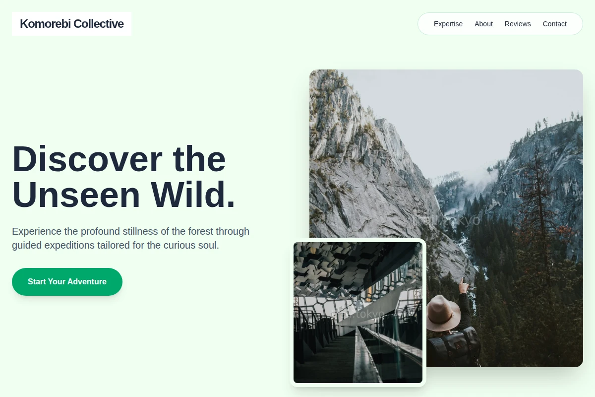 Forest Travel Guide